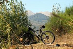 Unser Black Beauty vor dem Canigou