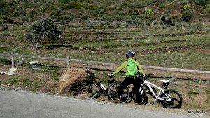 In Böen bis zu 100km/h: Im Bild am Grasbusch einigermaßen zu erkennen