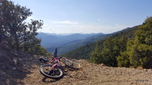 Schon auf dem Weg nach oben bieten sich herrliche Aussichten...